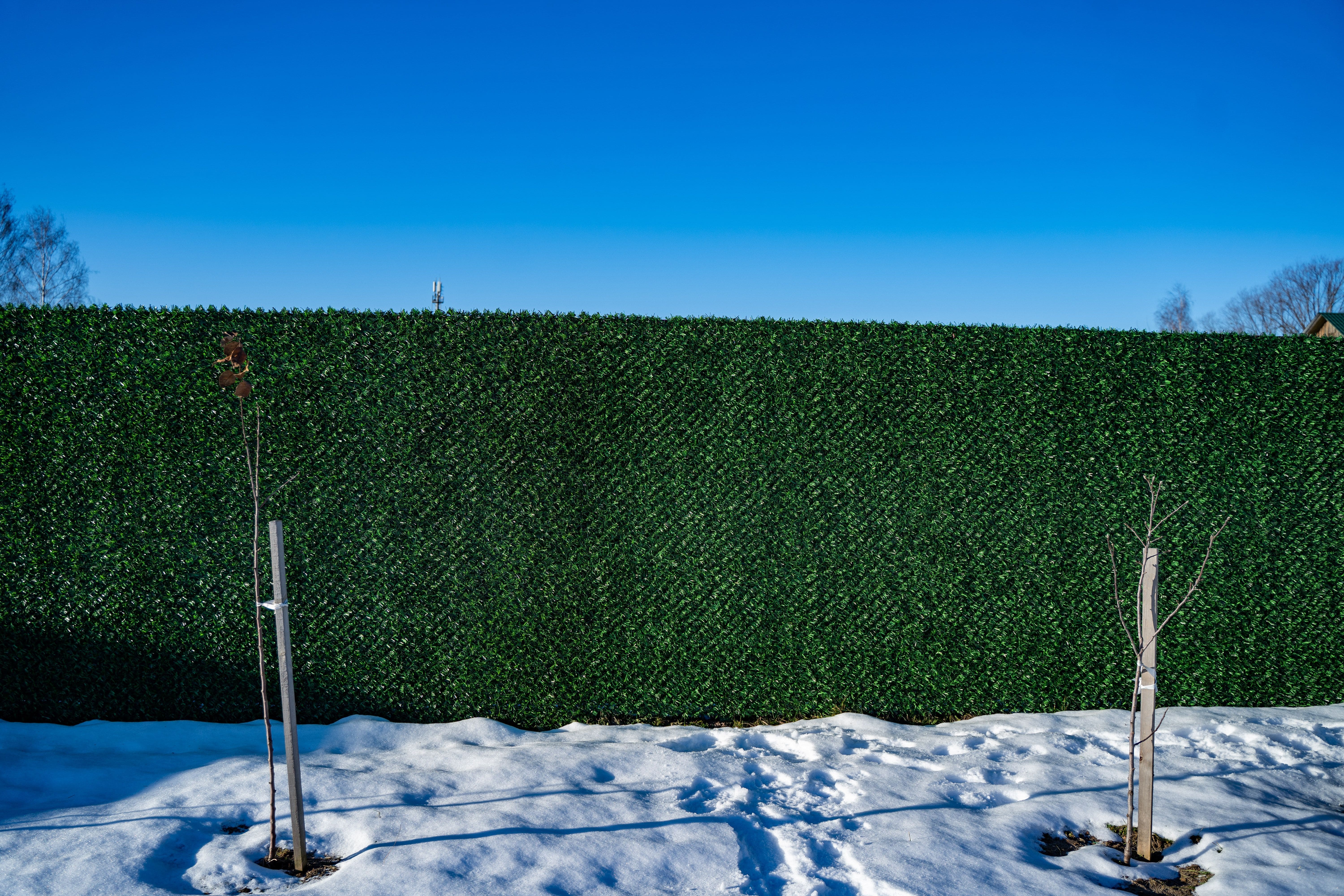 Вечнозеленый забор Grass Fence рулон 2м фото 8 в Москве